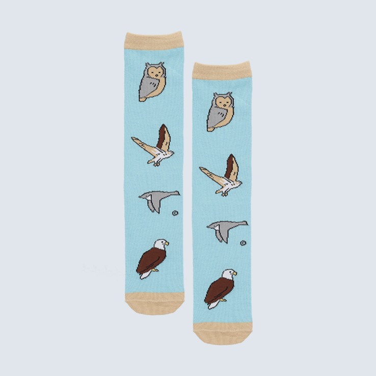 Two blue and light brown socks against a white background.The socks feature four birds of prey.